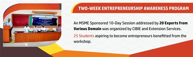 Two week entrepreneurship awareness program